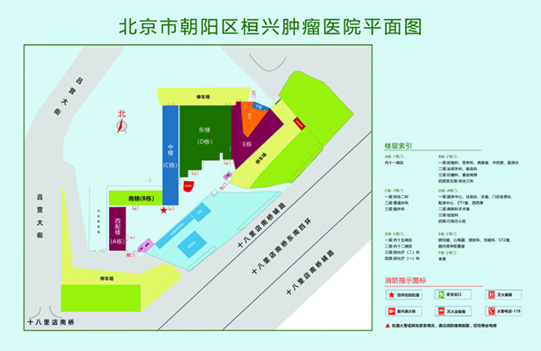 女人张屄让男人插视频北京市朝阳区桓兴肿瘤医院平面图